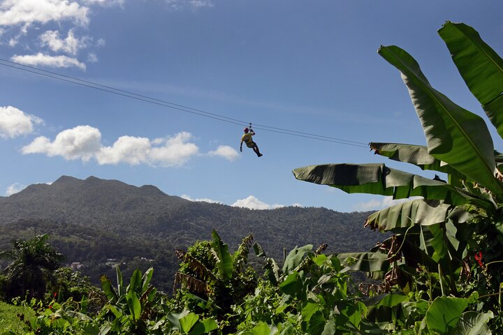 Yunque Ziplining at the Rainforest in Puerto Rico